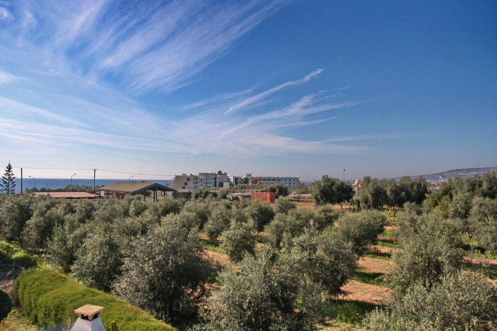 Villa Paradise Paphos Eksteriør bilde
