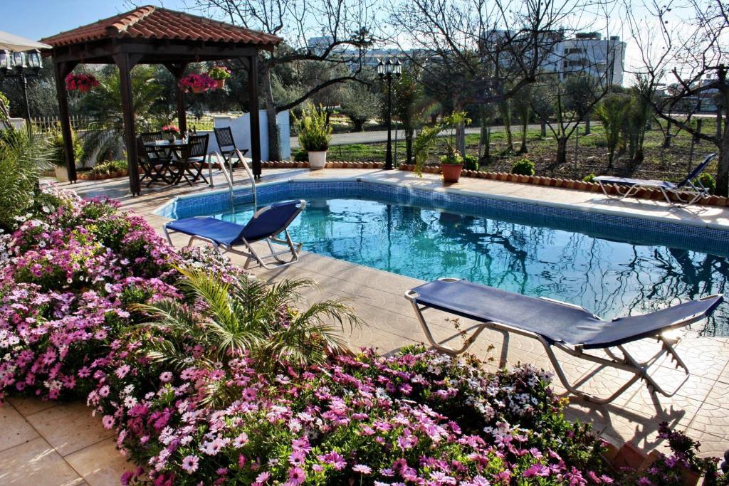 Villa Paradise Paphos Rom bilde